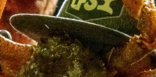 23:54: Pesca radical: Cebo para la ira | Discovery | 3/7 2026