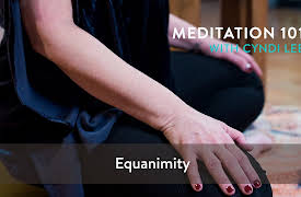 Meditation 101: Equanimity