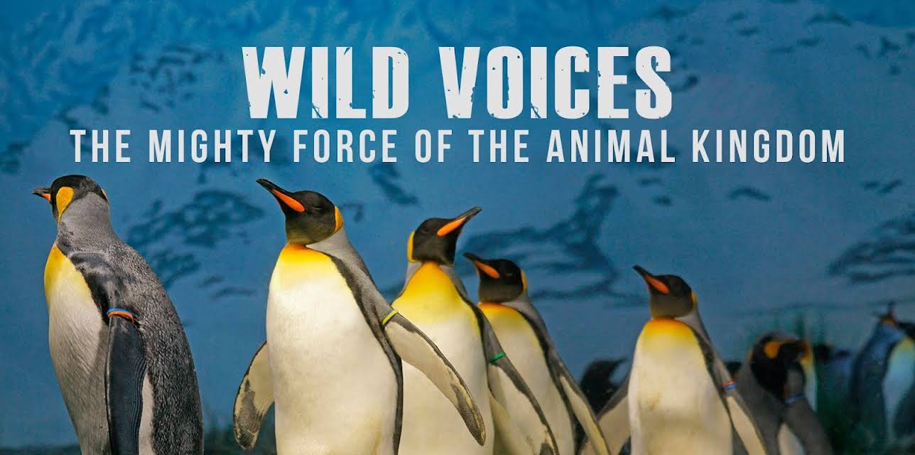 Wild Voices: The Mighty Force of the Animal Kingdom (2024)