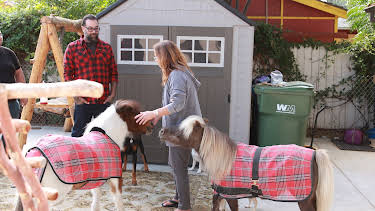 14:00: Animal Cribs (S2 E6) (S2) | Animal Planet | 4/14 2026