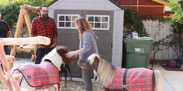 18:00: Animal Cribs (S2 E6) (S2) | Animal Planet | 11/29 2025