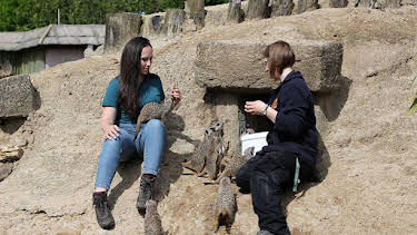 9:30 AM: Animal Park | BBC One | 8/14 2026
