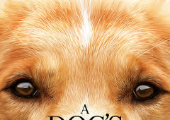 A Dog's Purpose