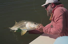 Sportsman's Adventures with Captain Rick Murphy, Season 7: On the Fly in Puerto Rico
