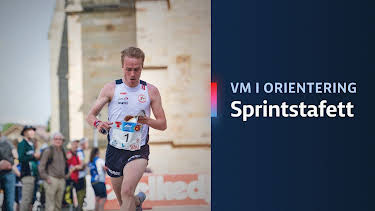 15:30: VM i orientering: Sprintstafett | NRK 1 | 7/11 2026