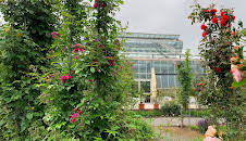 Im Reich der Blumenkönigin - Rosarium Sangerhausen