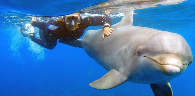 06:05: GEO Reportage | Arte | 1/21 2026