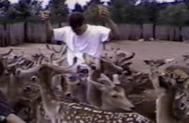 Funniest Pets and People: Season 1: Episode 206