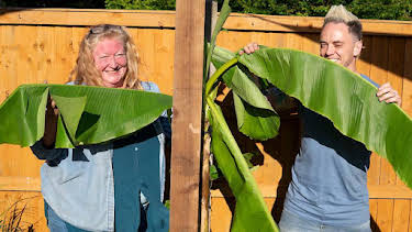 3:45 PM: Garden Rescue (S10) | BBC One Channel Islands | 10/15 2026