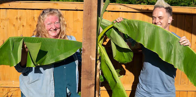 3:45 PM: Garden Rescue (S10) | BBC One Cambridgeshire | 11/6 2025