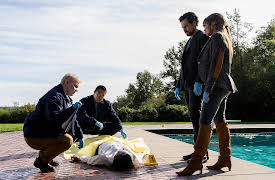 Wild Cards: Eternal Sunshine of the Therapised Mind