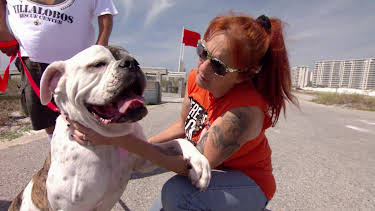 15:00: Pit Bulls & Parolees (S10 E1) (S10) | Animal Planet | 4/12 2026