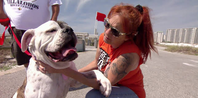 15:00: Pit Bulls & Parolees (S10 E1) (S10) | Animal Planet | 11/20 2025