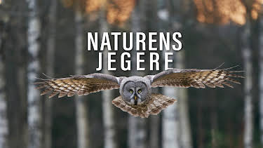 14:15: Naturens jegere | NRK 2 | 3/31 2026