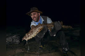 Coyote Peterson: Brave the Wild Season 1: Sharks in the Shadows