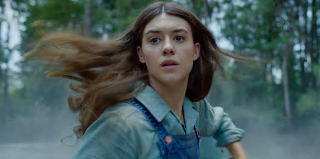 9:00 PM: Where the Crawdads Sing | Film 4 | 11/3 2025