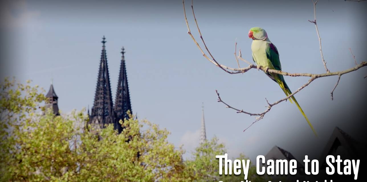 They Came to Stay - Our Alien Animal Neighbours