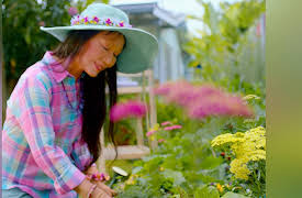 Wai Lana Insights: Fate