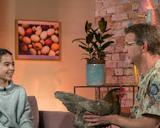 Haustierprofis (4/15)