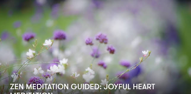 Zen Meditation Guided: Joyful Heart Meditation (2024)