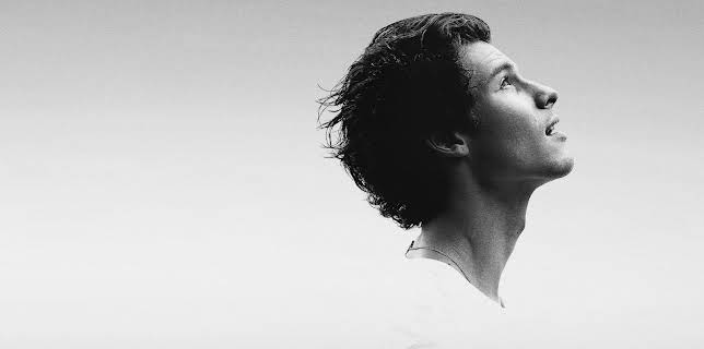 Shawn Mendes: In Wonder (2020)