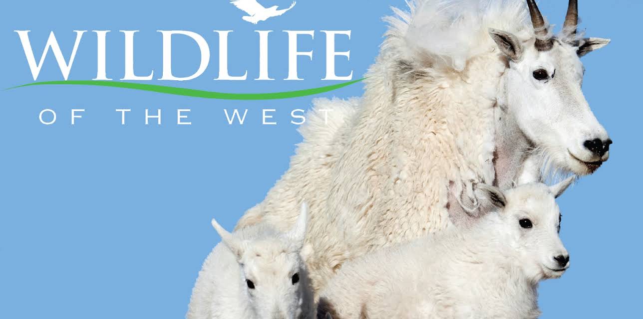 Wildlife of the West