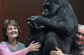 Preposterous Pets: Episode 5