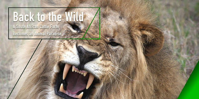 Back to the Wild - A South African Cattle Farm Becomes an Animal Paradise (2012)