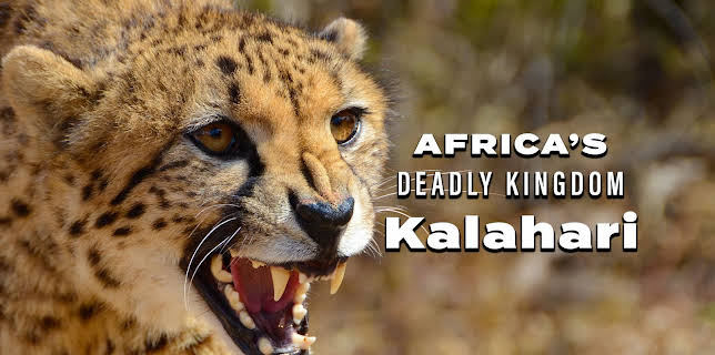 Africa's Deadly Kingdom: Kalahari (2018)