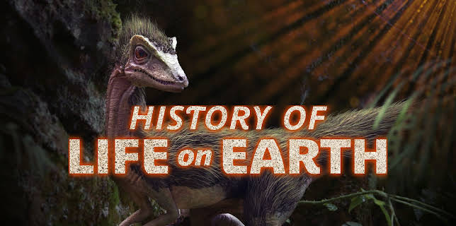 History Of Life On Earth
