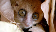 Unbekanntes Madagaskar (1/2)