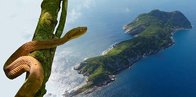 2:00 PM: Deadly 60 (S6) | CBBC | 11/3 2025