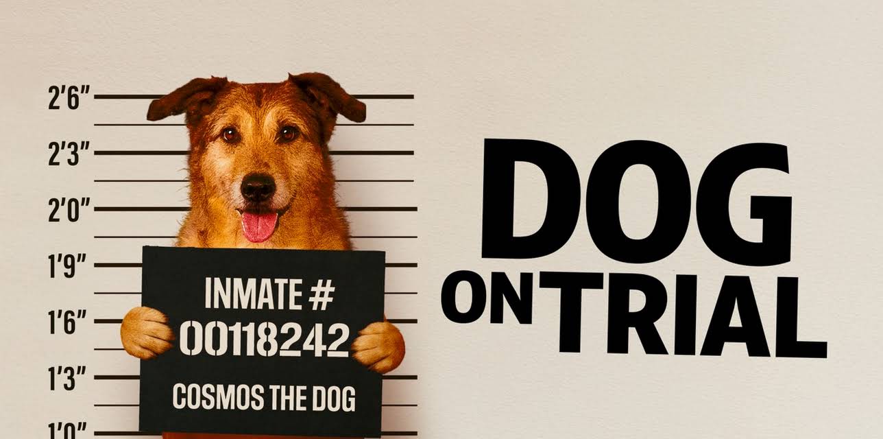 Dog on Trial (2025)