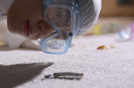 Move to Heaven: Avsnitt 2