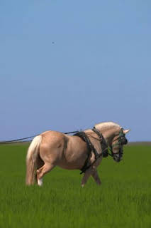 16:50: Al sur del tiempo | Andalucía TV | 3/29 2026