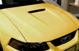 Ink Master: Botched Head Tattoo