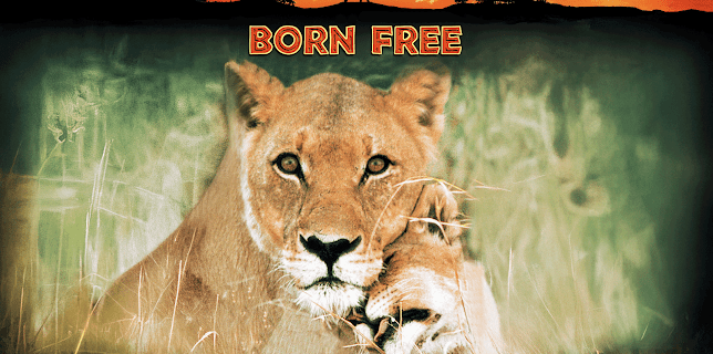 Born Free (1966)