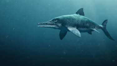 4:00 PM: Attenborough and The Sea Dragon (S1 E1) (S1) | Yesterday | 1/2 2026