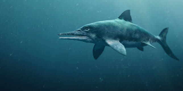 3:00 PM: Attenborough and The Sea Dragon (S1 E1) (S1) | Yesterday | 1/2 2026