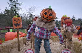 Katthjältarna: Vilken häxa är vilken?