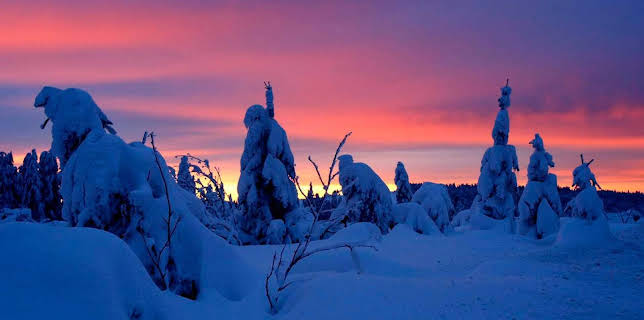 13:15: Winter am Alpenrand | MDR Fernsehen | 11/29 2025