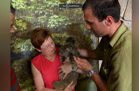 The Best Job in the World: Episode 3