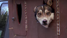 Dr. Jeff: Rocky Mountain Vet