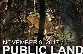 The Hunting Public: November 9 - Public Land: Shooter Buck at 20 Yards