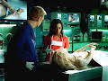 CSI: Miami