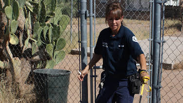 04:00: Animal Cops Phoenix (S15 E10) (S15) | Animal Planet | 2/18 2026