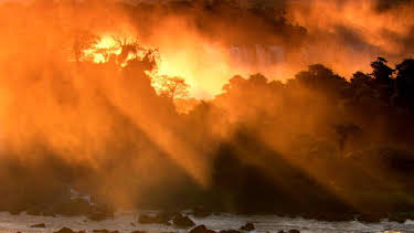 17:15: Grandes Documentales Un Año En La Selva | LA 2 | 6/15 2026