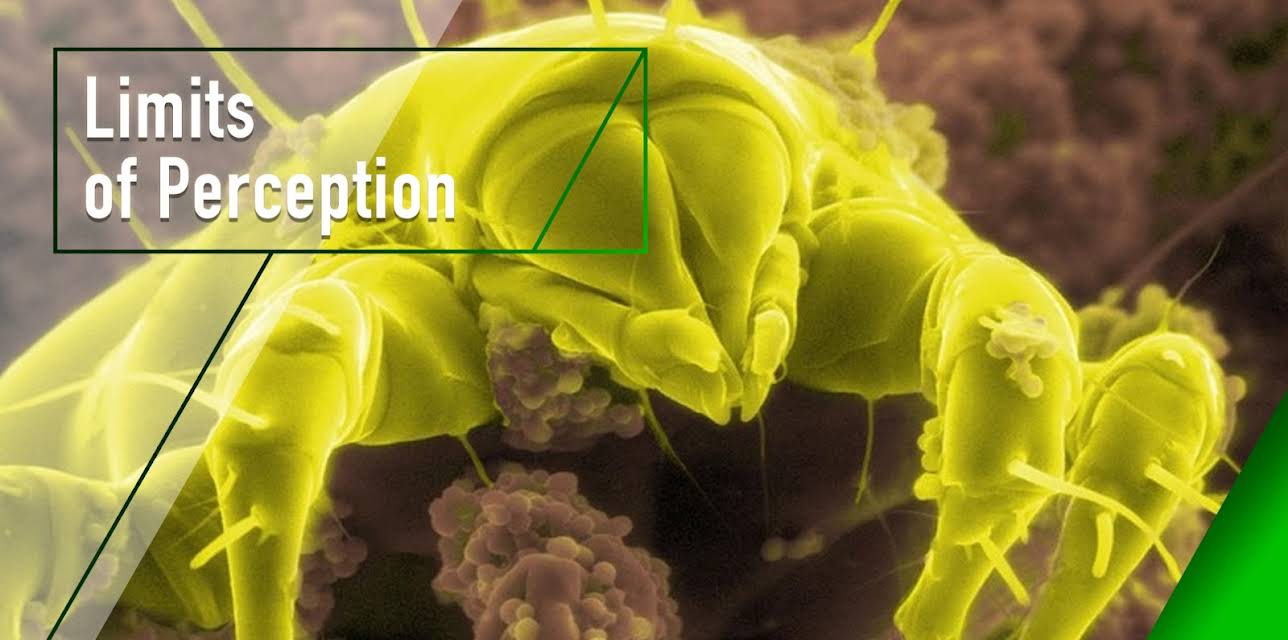 Limits of Perception (2001)