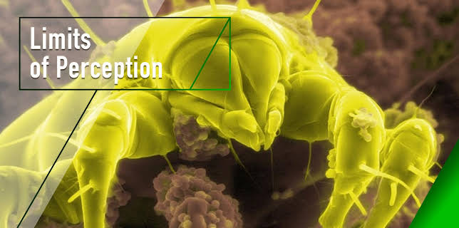 Limits of Perception (2001)