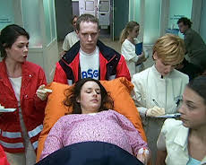 In aller Freundschaft (S08/E17)